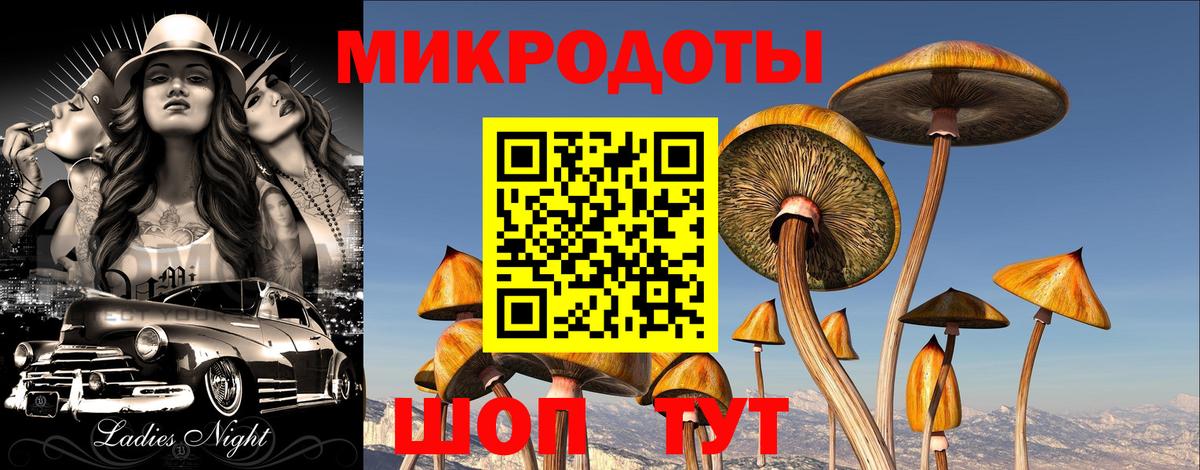 Псилоцибиновые грибы Magic Shrooms  Галлюциногенные грибы мицелий  Вход с VPN  Мегион 
