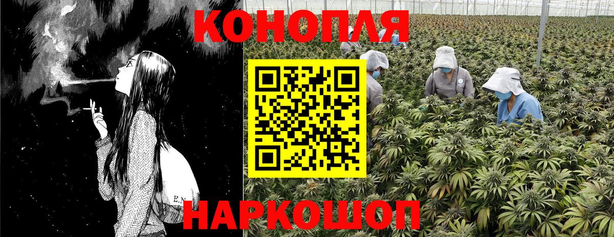 Мегион  Бошки Шишки планчик  Бошки Шишки Ganja  Вход с VPN  Каннабис план 